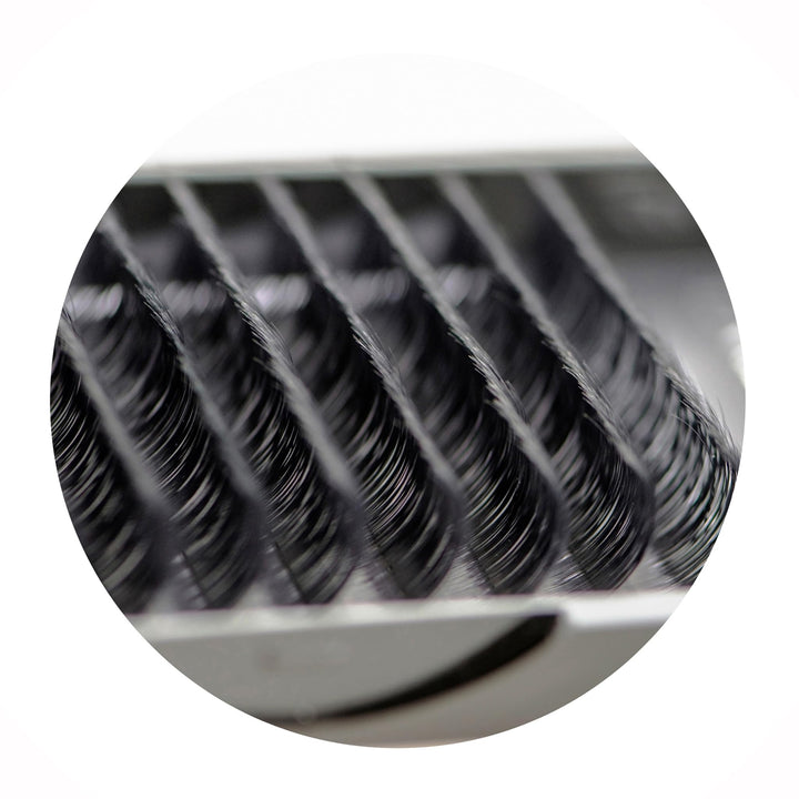 Eyelash Extensions 0.10mm Thickness C Curl Length 12mm Silk Mink Fake Eye Lashes In One Tray