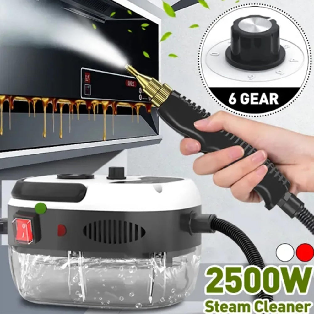 Steam Cleaner,2500W High Temperature Pressurized Steam Cleaner,Portable Steam Cleaning Machine,10S Fast Heating,with 3 Brush Heads