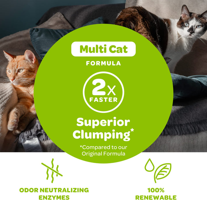 Natural Wheat Multi-Cat Litter, Superior Clumping with Odor Neutralizing Enzymes, 36 Pound Bag