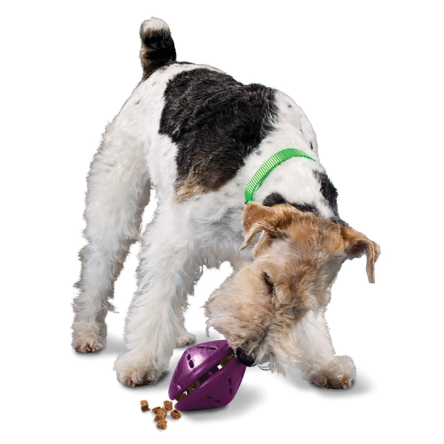 Busy Buddy Twist 'n Treat Dispensing Dog Toy - Medium