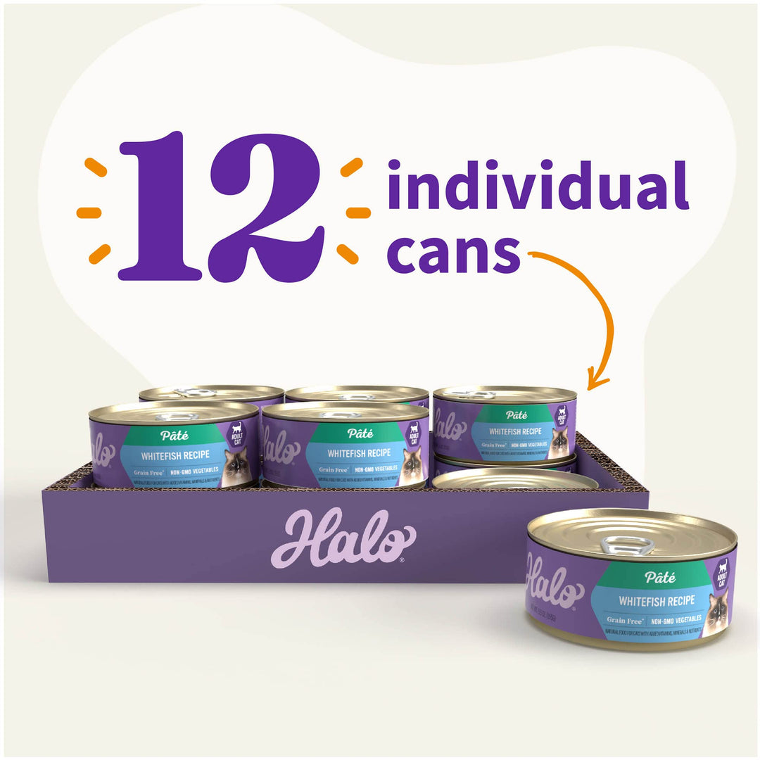 Wet Cat Food Whitefish Recipe, Grain Free Wet Cat Pate, Canned Cat Food for Extra Hydration, 5.5 Oz Can (Pack of 12)