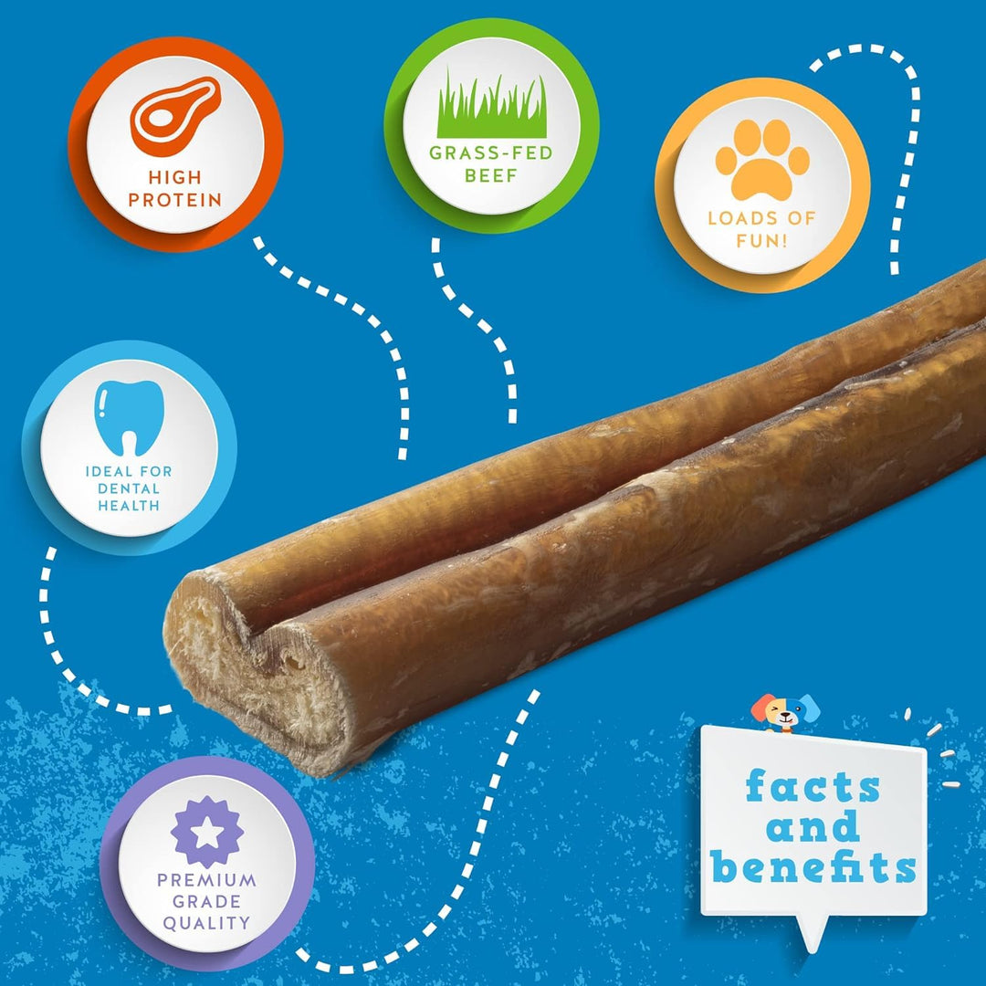 Jack&Pup Thick Bully Sticks | 12 Inch Bully Sticks for Large Dogs Aggressive Chewers | Single Ingredient, Odor Free, Long Lasting Dog Chews (10 Pack)