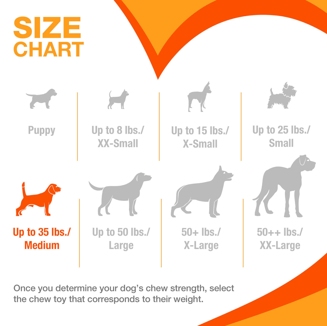 Textured Dental Bone Flexi Chew Toy for Dogs, Dog Toys for Moderate Chewers, Chicken Flavor, Medium - Up to 35 lbs, 1 Count