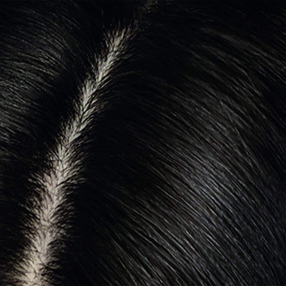 Root Touch-Up Temporary Spray, Black Hair Color, 2 Count