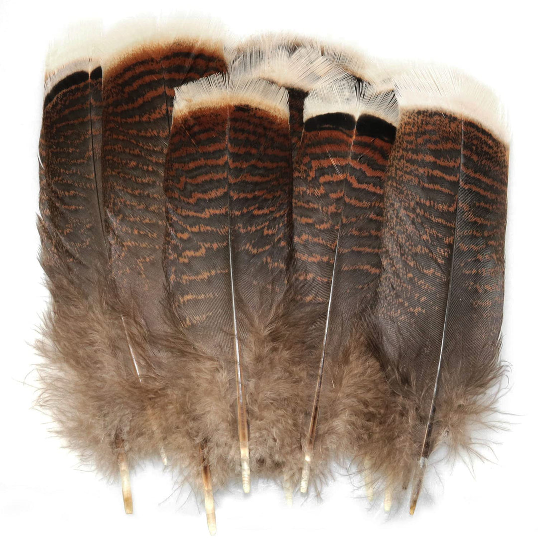 Natural Turkey Feather 20PCS 15-20cm/5.9-7.87inch Precious Turkey Tail Feathers for DIY Costume Headress
