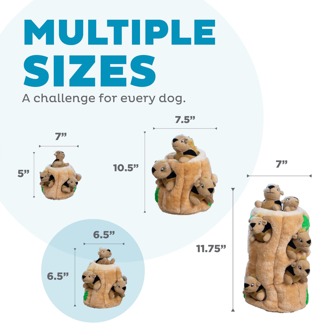 Hide A Squirrel Plush Dog Toy Puzzle, Medium