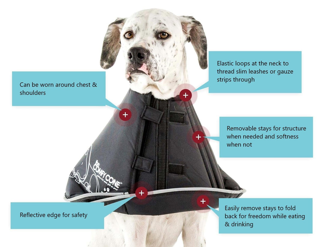 Comfy Cone Pet Cone for Dogs, Cats, Large, Black - Comfortable Soft Dog Cone Collar Alternative for After Surgery, Wound Care, Spay, Neuter - Dog and Cat Recovery Elizabethan-Collar