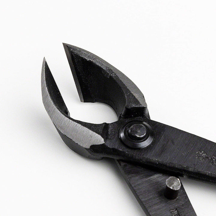 Japanese Bonsai Tool Kit Made in Japan - Hanafubuki Satsuki Scissors 7inch(180mm) + Concave Branch Cutter 8inch(200mm) Gift Box Set