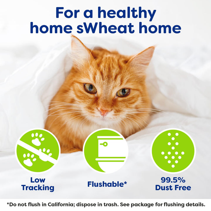 Natural Wheat Multi-Cat Litter, Superior Clumping with Odor Neutralizing Enzymes, 25 Pound Bag