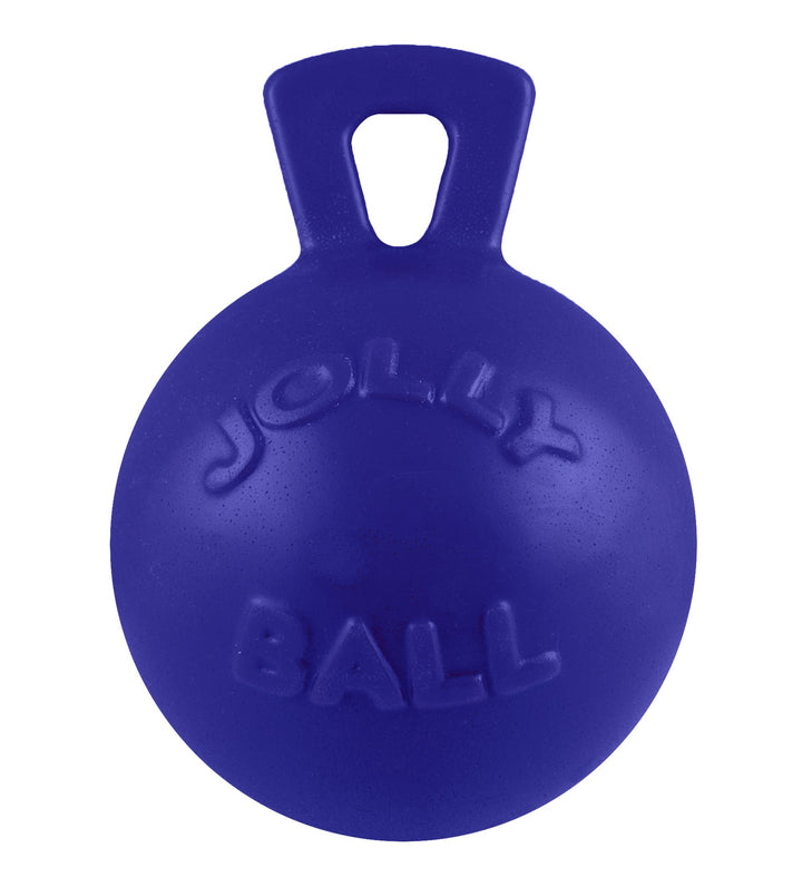 Tug-n-Toss Dog Toy Ball with Handle, 8 Inches/Large, Blue