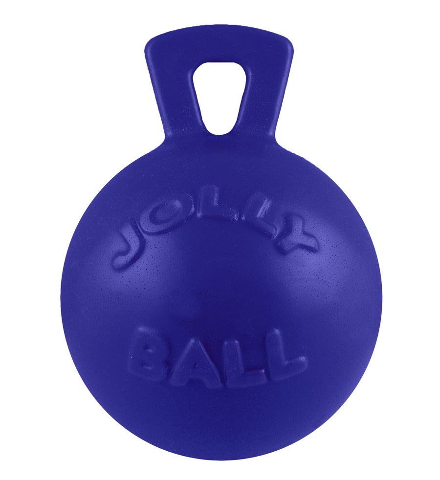 Tug-n-Toss Dog Toy Ball with Handle, 8 Inches/Large, Blue