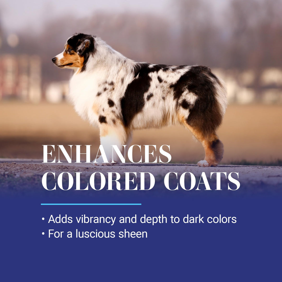 White on White Whitening Treatment Dog Shampoo, Groom Like a Professional, Brightens White, Safely Removes Yellow & Other Stains, All Coat Types, Made in USA, 16 oz.