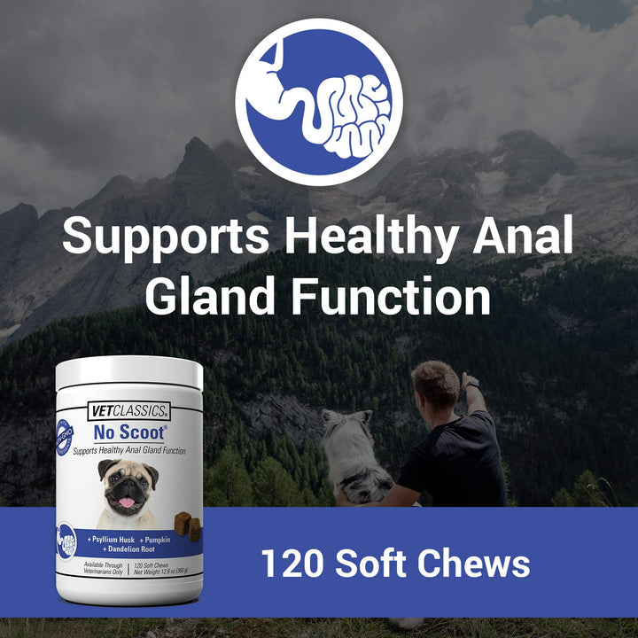 No Scoot Dog Supplements for Healthy Anal Gland Function – Support Normal Bowel Functions, Anal Glands – Increases Daily Fiber Intake for Dogs – 120 Soft Chews