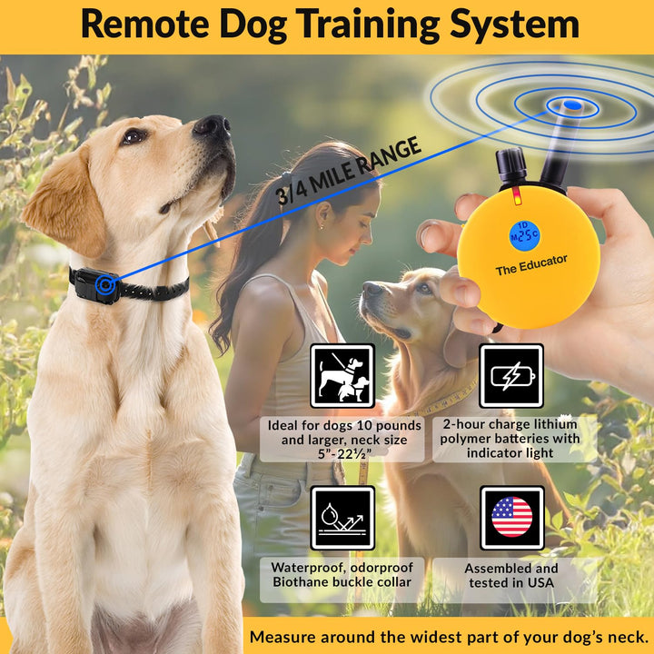 E-Collar Humane Dog Training Collar with Remote, Features 100 Levels of Safe Stimulation, Tapping Sensation, Night Light, Waterproof, Rechargeable, 3/4 Mile 1 Dog, Yellow