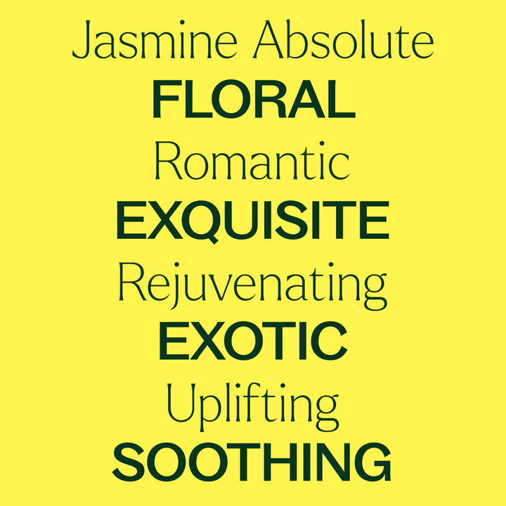 100 ml (3.3 oz) : Jasmine Absolute Essential Oil. 100 ml (3.3 oz) 100% Pure, Undiluted, Therapeutic Grade