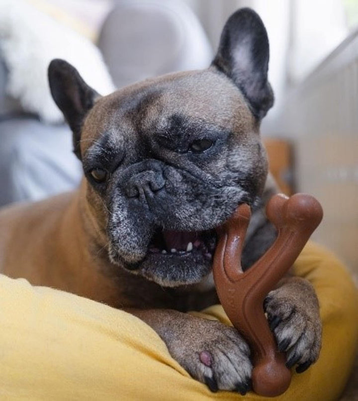 Ergonomic Hold & Chew Wishbone Power Chew Durable Dog Toy Large - Up to 50 lbs.