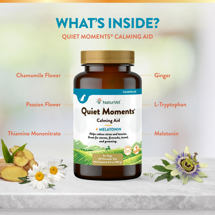 Quiet Moments Calming Aid Dog Supplement, Helps Promote Relaxation, Reduce Stress, Storm Anxiety, Motion Sickness for Dogs (Quiet Moments Melatonin, 60 Soft Chews)