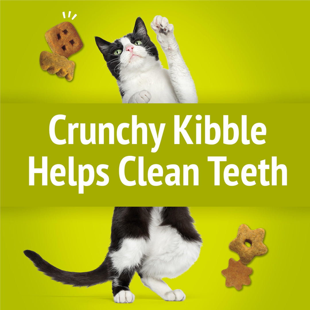 Purina Party Mix Morning Munch Crunch Cat Treats - (Pack of 10) 2.1 oz. Pouches