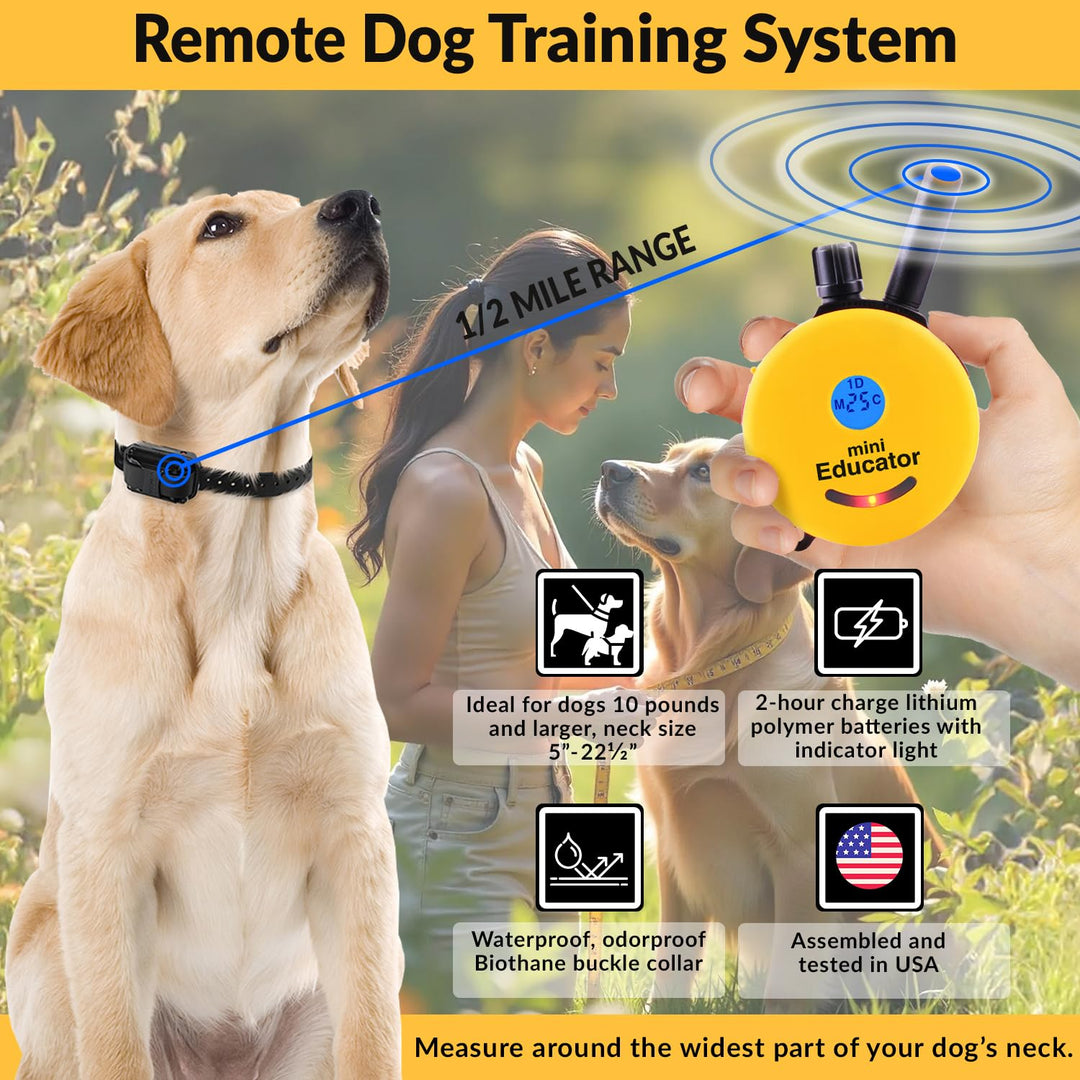 E-Collar Humane Dog Training Collar with Remote, 100 Safe Tapping Stimulation Levels, Night Light, Waterproof, Rechargeable, 1/2 Mile 2 Small-Medium Dogs, Yellow