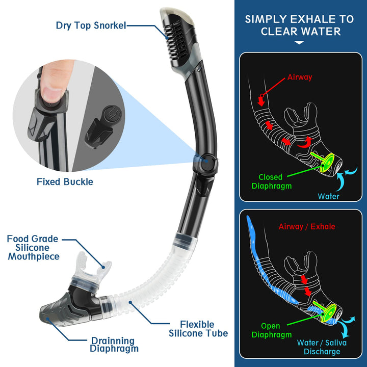 Mask Fin Snorkel Set with Adult Snorkeling Gear, Panoramic View Diving Mask, Trek Fin, Dry Top Snorkel +Travel Bags, Snorkel for Lap Swimming