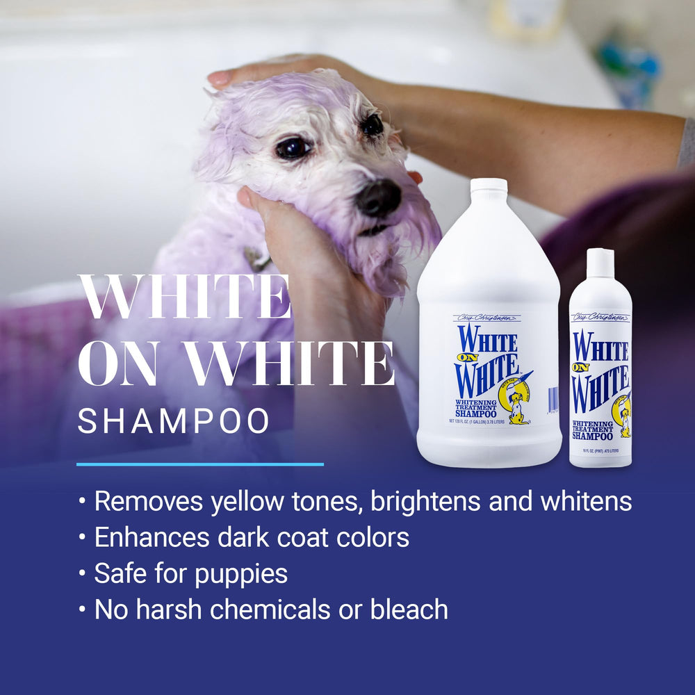 White on White Whitening Treatment Dog Shampoo, Groom Like a Professional, Brightens White, Safely Removes Yellow & Other Stains, All Coat Types, Made in USA, 16 oz.