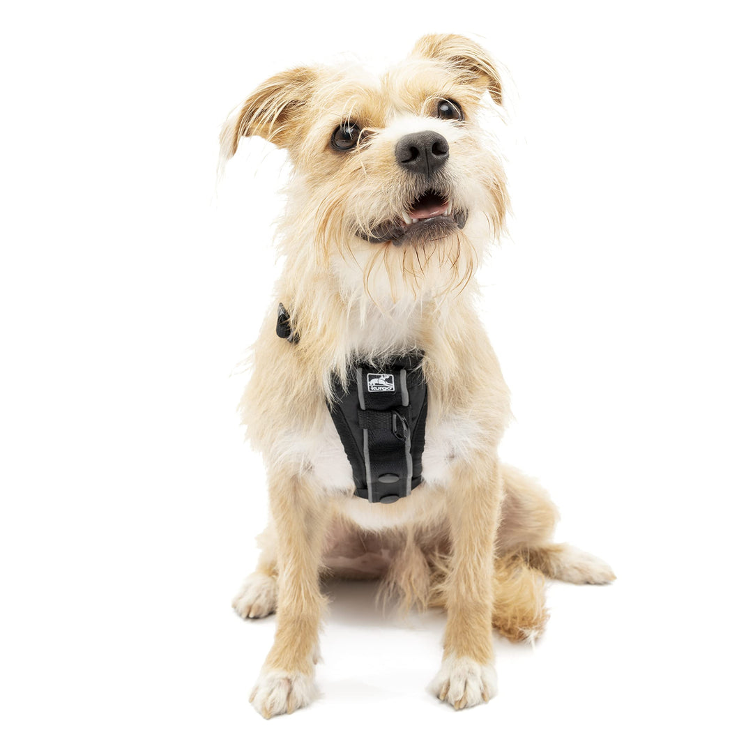 Dog Harness | Pet Walking Harness | Small | Black | No Pull Harness Front Clip Feature for Training Included | Car Seat Belt | Tru-Fit Quick Release Style