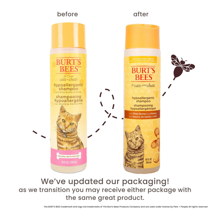 Burt's Bees for Pets Hypoallergenic Shampoo for Cats with Shea Butter and Honey, 99.7% Natural Origin Formulas, Pet Shampoo for Cats, Gentle Cat Shampoo, Cat Shampoo for Itchy Skin, 10 oz