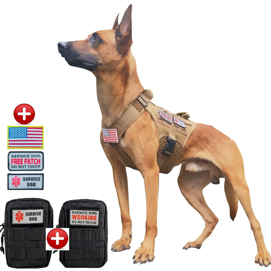 Service Dog in Training Vest, Service Dog Harness, Service Dog Vest for Large Dogs Breed, Large Tactical Dog Harness with Service Dog Patches