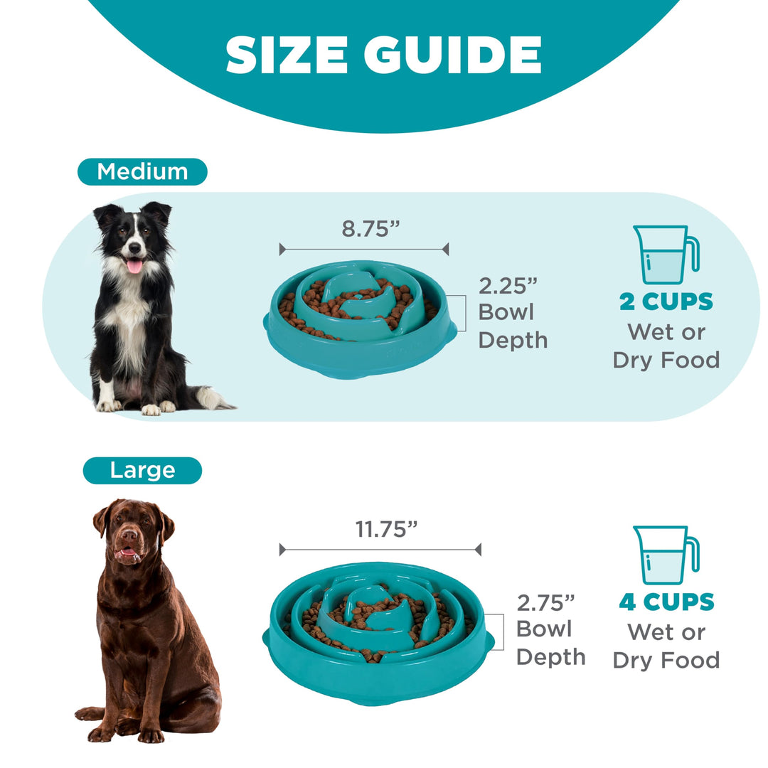 Fun Feeder Slo Bowl, Slow Feeder Dog Bowl, Medium/Mini, Turquoise