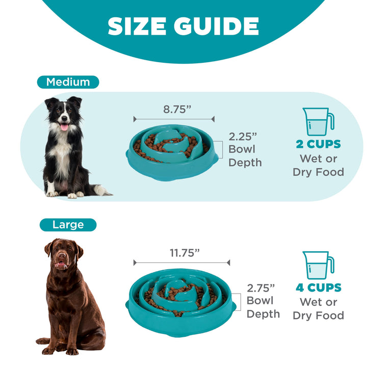 Fun Feeder Slo Bowl, Slow Feeder Dog Bowl, Medium/Mini, Turquoise