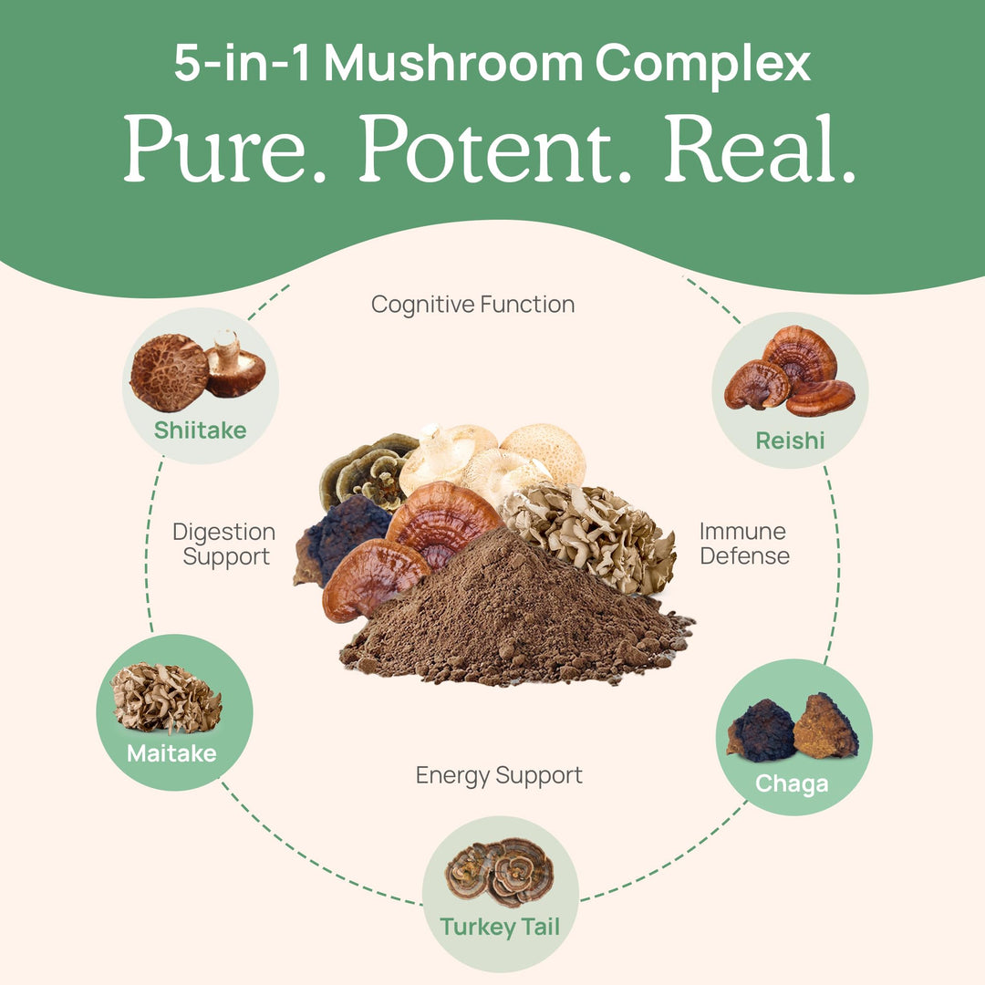 5 Defenders Powder - Organic Mushroom Extract w/Chaga, Shiitake, Maitake, Turkey Tail, Reishi Supplement Vegan, Non-GMO, 45 Servings
