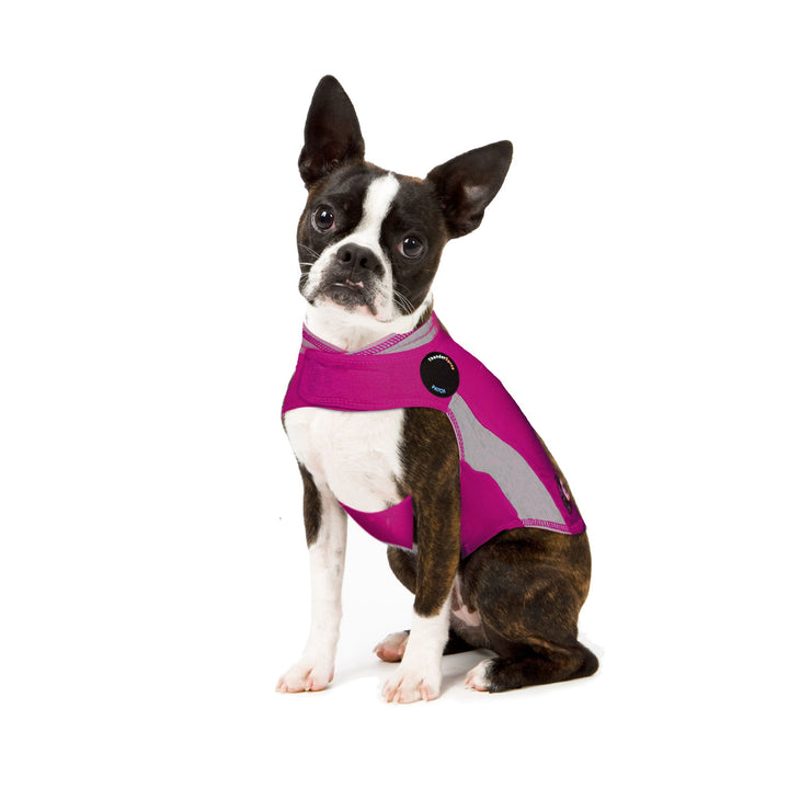 ThunderShirt for Dogs, X Small, Pink Polo - Dog Anxiety Vest