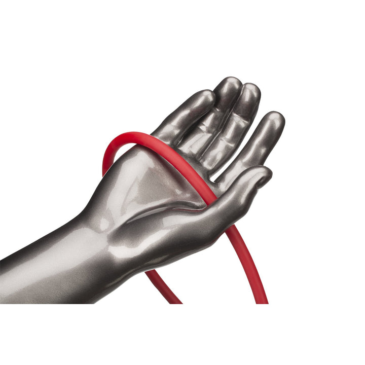 TheraBand Professional Latex Resistance Tubes For Upper Body, Lower Body, and Core Exercise, Physical Therapy, Lower Pilates, At-Home Workouts, and Rehab, 25 Foot, Red, Medium, Beginner Level 3