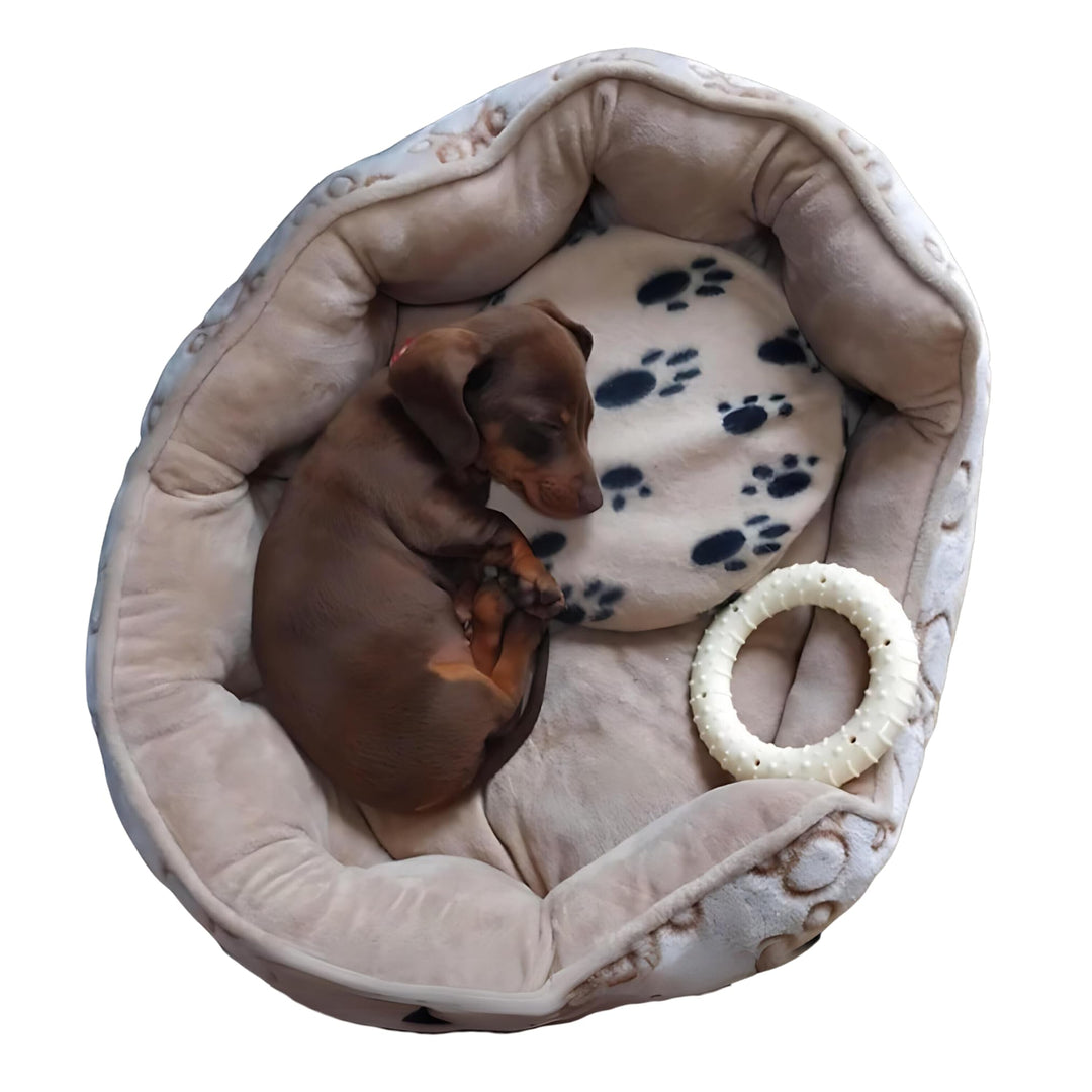 The 'Original' Microwave Heating Pad Disc Microwavable Heated Pet Bed.