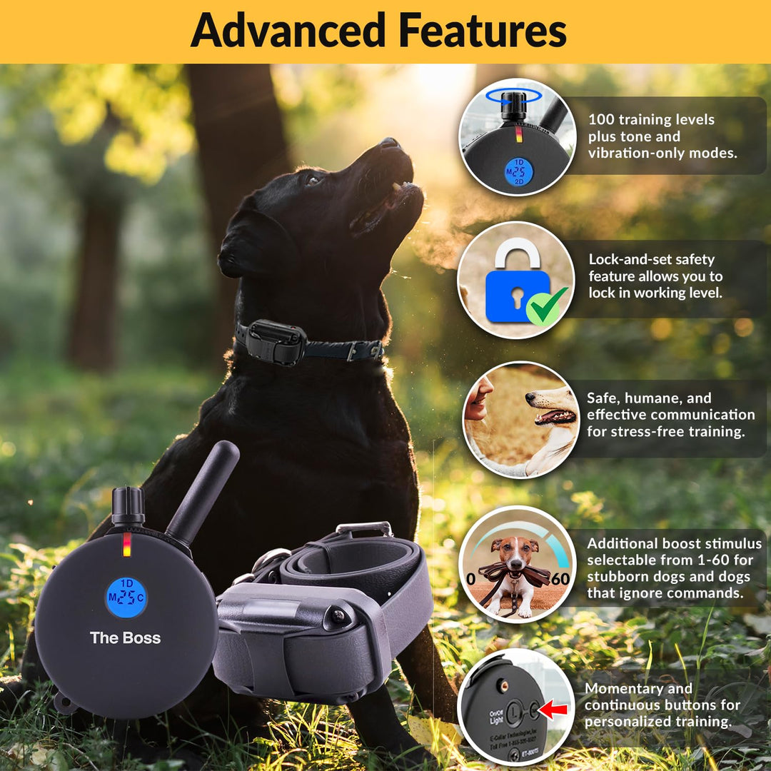 E-Collar Humane Dog Training Collar with Remote, Features 100 Levels of Safe Stimulation, Tapping Sensation, Night Light, Waterproof, Rechargeable, 1 Mile 1 Dog, Black