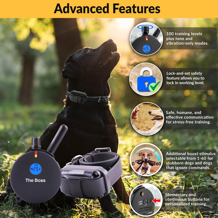 E-Collar Humane Dog Training Collar with Remote, Features 100 Levels of Safe Stimulation, Tapping Sensation, Night Light, Waterproof, Rechargeable, 1 Mile 1 Dog, Black