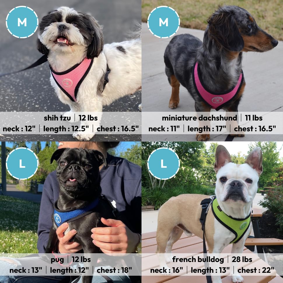 - Soft Mesh Harness, Small Dog Harness with Breathable Mesh, Flamingo Pink, Small