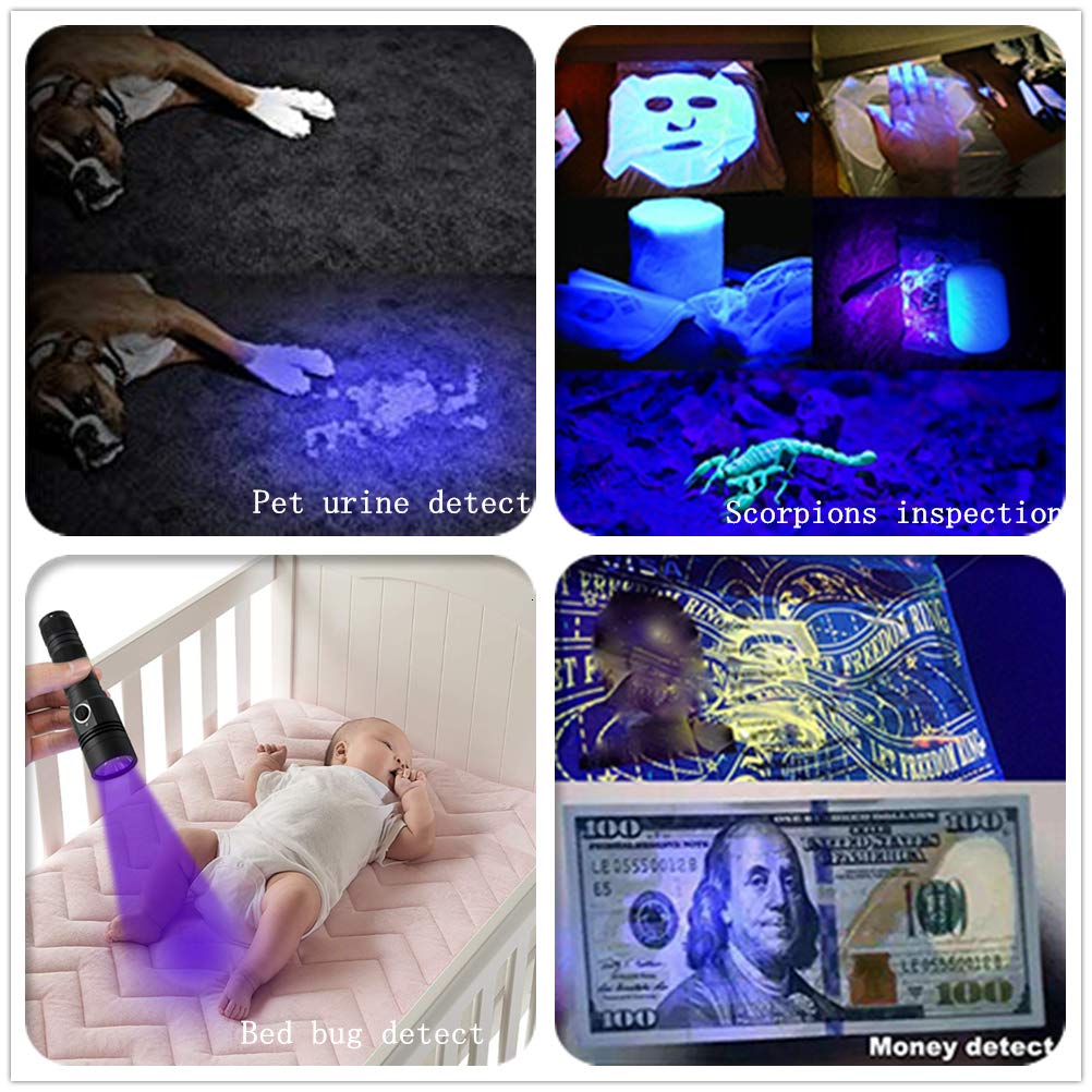 395nm UV Flashlight, Rechargeable Black Light Flashlight, LED Flashlight IP65 Water-Resistant Pet Urine Detector for Dog Cat Stains, Scorpion, Bed Bug, Household
