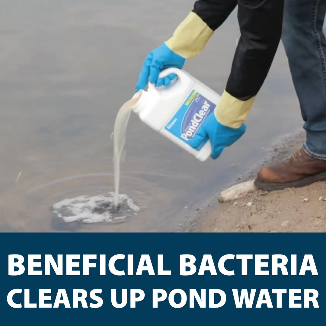 PondClear Liquid Bacteria for Lakes, Ponds & Water Garden Treatments, Natural Bio Clarifier & Cleaner for Crystal Clear Water, Remove Nutrients & Noxious Odor, Fish, Pet & Plant Safe, 1 Gallon