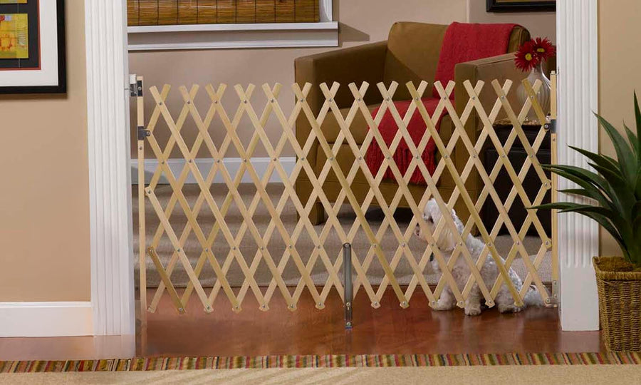 Keepsafe Expansion Gate, 60 Inches