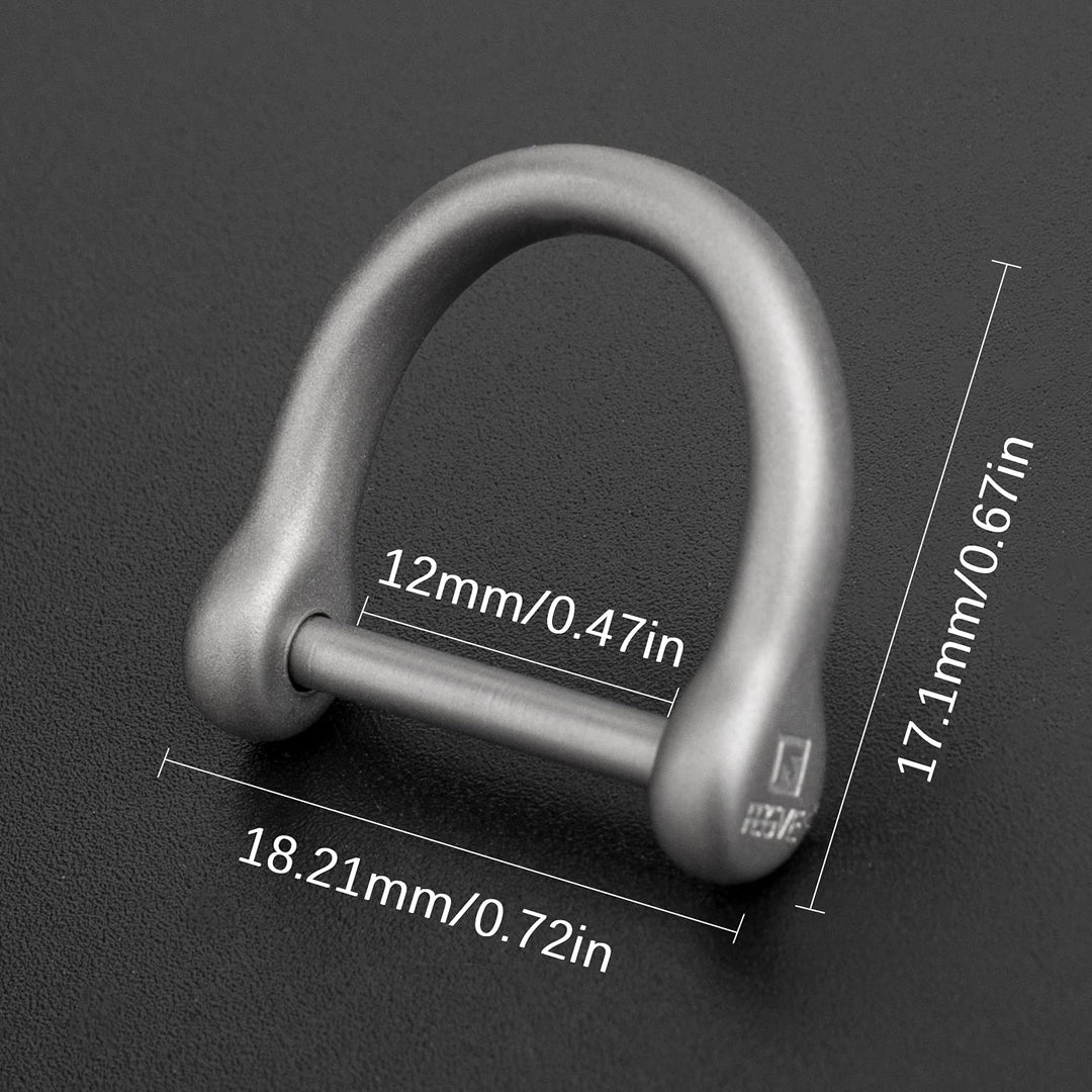 Titanium D-Rings with Screw Shackle, U Shape Key Chains Rings, Car Keys Tools, DIY Leather Craft Purse/Wallet Buckle 1 pcs (Matte, Tiny)