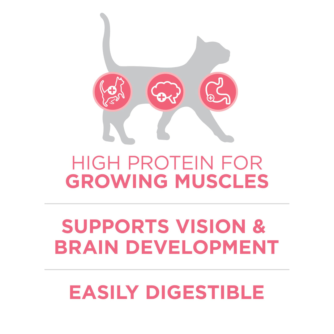 High Protein, Natural Dry Kitten Food, +Plus Healthy Kitten Formula - 16 lb. Bag
