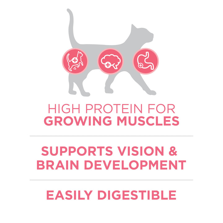 High Protein, Natural Dry Kitten Food, +Plus Healthy Kitten Formula - 16 lb. Bag