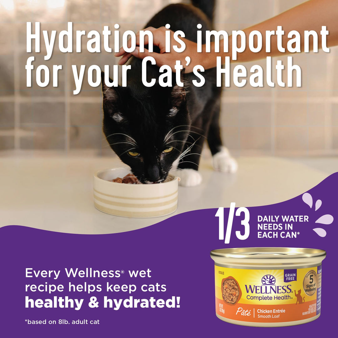 Complete Health Pate Adult Wet Cat Food, Natural, Protein-Rich, Grain Free, 3 Ounce, 24 Pack, (Chicken)