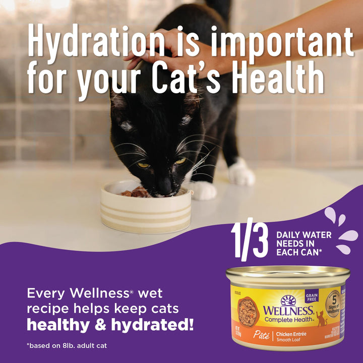 Complete Health Pate Adult Wet Cat Food, Natural, Protein-Rich, Grain Free, 3 Ounce, 24 Pack, (Chicken)