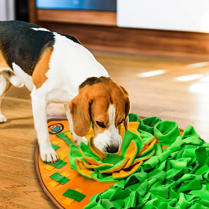 Snuffle Mat for Dogs, Dog Cats Nosework Feeding Mat, Pet Interactive Dog Puzzle Toys Encourages Natural Foraging Skills for Training and Stress Relief