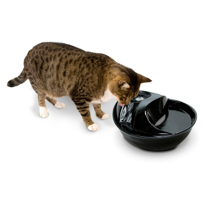 Raindrop Fountain, Pet Drinking Fountains (60 oz., White Ceramic)