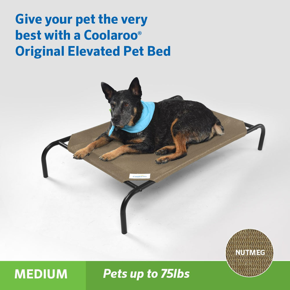 The Original Cooling Elevated Dog Bed, Indoor and Outdoor, Medium, Nutmeg