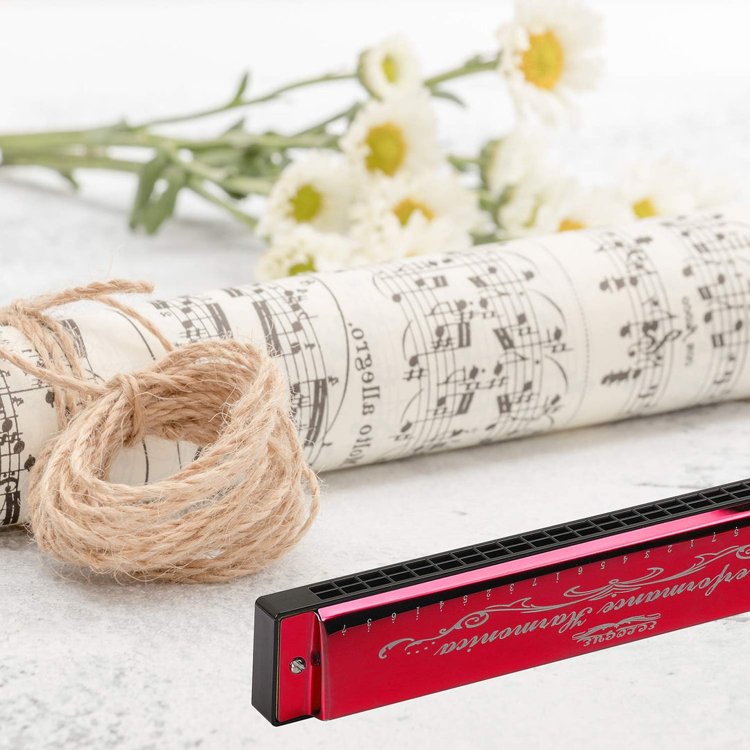 Harmonica Mouthorgan Harp Armonica 24 Hole Polyphony Diatonic Mouth Organ Key of C with Case for Blues Folk Jazz Pop Music Instrument Gift