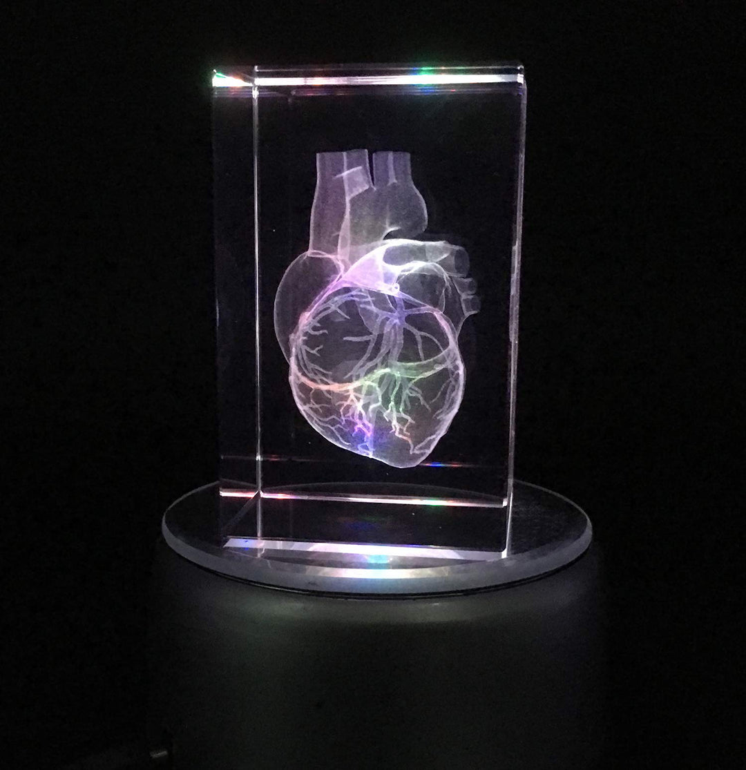 3D Human Heart Anatomical Model Paperweight(Laser Etched) in Crystal Glass Cube Science Anatomy Gift (No Included LED Base)(3.1x2x2 inch)